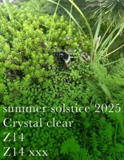 ƻ Zxxx202510ml