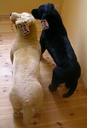 等身大ブラックラブラドールレトリーバー melissa and doug - スマイル