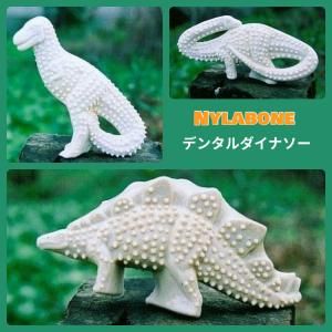 ǥ󥿥ʥʥܡ Nylabone Dental Dinosaur
