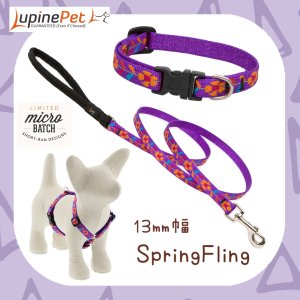 Spring FlingLUPINE13mm