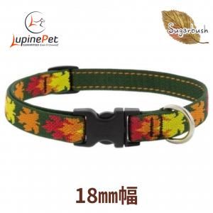 奬֥åLUPINE18mmSugarbush