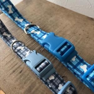 COASTAL֥롼ۥ磻ȥܡ Pet Attire Sryles Dog Collar Leash