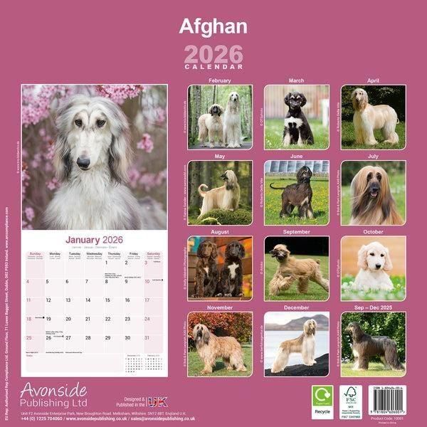 Avonside アフガンハウンド - スマイルドッグ☆アメリカ直輸入犬