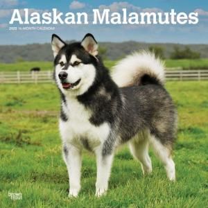 Brown trout 饹ޥߥ塼 Alaskan Malamutes