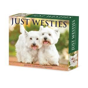 ᤯ꥫWillow Creek ƥ---Westies