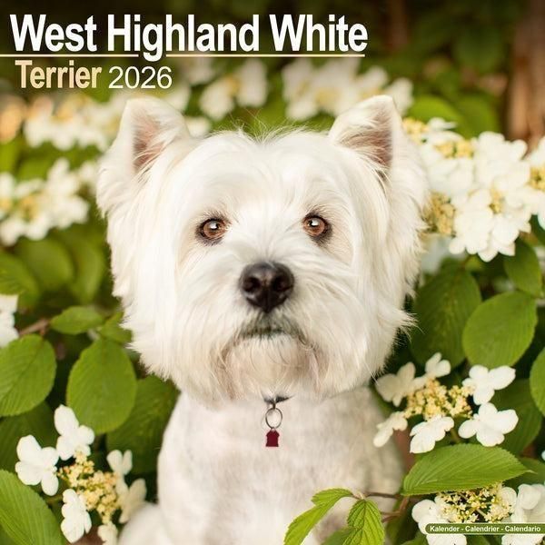 Avonside ウエストハイランドホワイトテリアWest Highland Terrier スマイルドッグ★アメリカ直輸入犬用品専門店