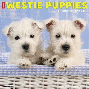 Willow Creek ƥѥԡ westie puppies