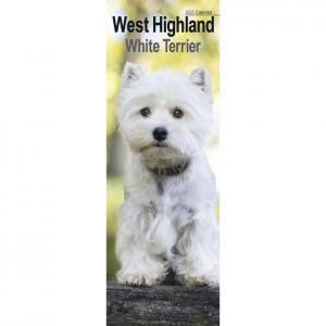 Avonside ȥϥɥۥ磻ȥƥꥢ饤󥫥---West Highland White Terrier Calendar Slimline