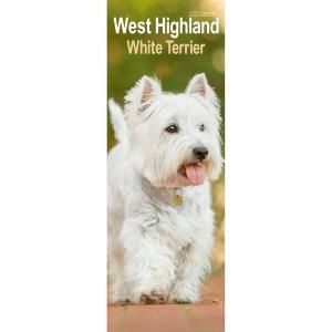 Avonside ウエストハイランドホワイトテリア スリムラインカレンダー---West Highland White Terrier Calendar Slimline