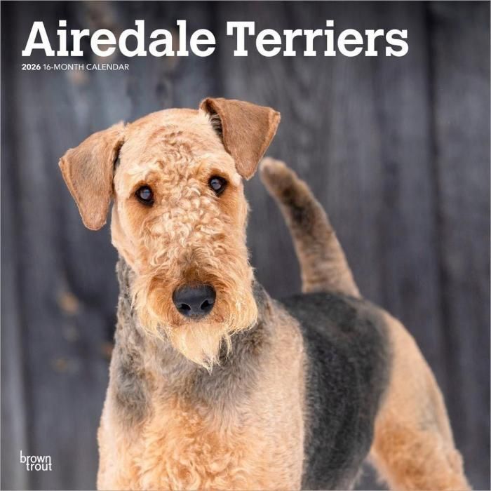 シュタイフ エアデール テリア テリー スモール 7インチ ID付き