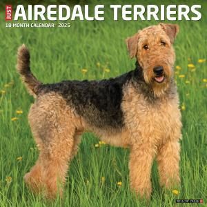 WillowCreekǡƥꥢ ---AIREDALE TERRIERS