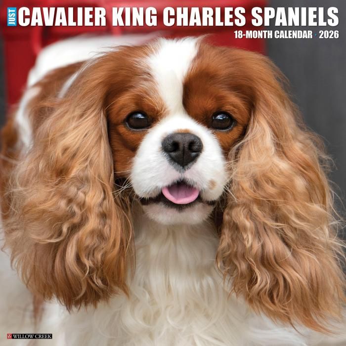 Willowcreek キャバリアキングチャールズスパニエル スマイルドッグ アメリカ直輸入犬用品専門店 Willowcreek キャバリアキングチャールズスパニエル スマイルドッグ アメリカ直輸入犬用品専門店