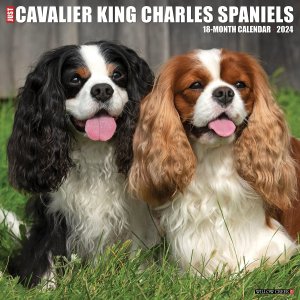 WillowCreek　キャバリアキングチャールズスパニエル　カレンダー---Cavalier King Charles Spaniels