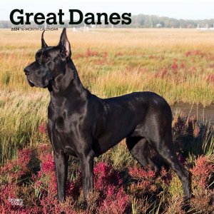 BrownTrout　グレートデーン　カレンダー　Great Danes