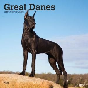 BrownTrout졼ȥǡ󡡥Great Danes