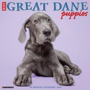 WillowCreek졼ȥǡڥѥԡۥJust Great Dane Puppies