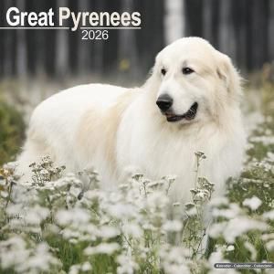 ピレネー犬のすべて ピレネー犬のすべて
