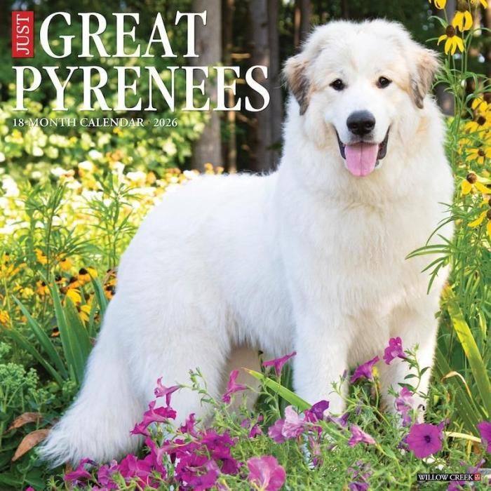 【レア】グレートピレニーズ【美品】 WillowCreek グレートピレニーズ カレンダー Great Pyrenees