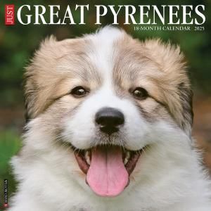 WillowCreek 졼ȥԥˡ Great Pyrenees