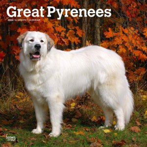 BrownTrout　グレートピレニーズ カレンダー　Great Pyrenees