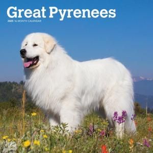 BrownTrout졼ȥԥˡ Great Pyrenees