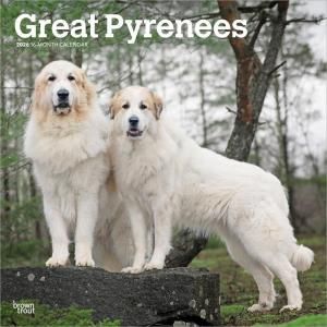 BrownTrout졼ȥԥˡ Great Pyrenees