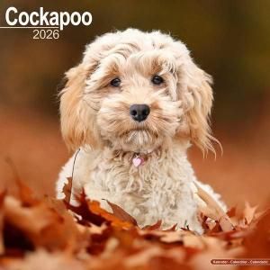 Avonside åס Cockapoo