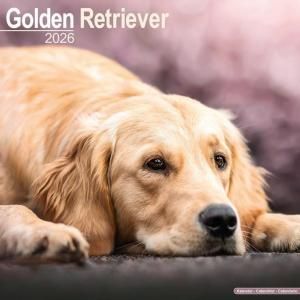 ゴールデンレトリーバー - スマイルドッグ☆アメリカ直輸入犬用品専門店