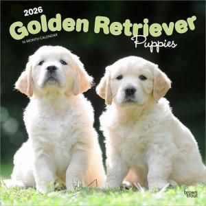 ゴールデンレトリーバー - スマイルドッグ☆アメリカ直輸入犬用品専門店