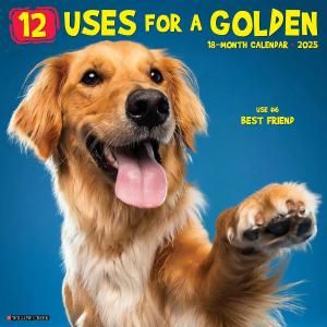 WillowCreek12 Uses For A Golden ǥȥ꡼С