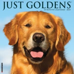 WillowCreekǥȥ꡼С᤯ꥫJUST GOLDENS