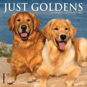 ゴールデンレトリーバー - スマイルドッグ☆アメリカ直輸入犬用品専門店
