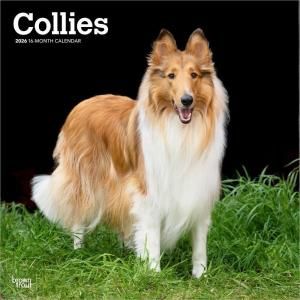 【値下げ】アーテサニアリンコナダ　コリー犬置物2匹セット 値下げ】アーテサニアリンコナダ コリー犬置物2匹セット 値下げ