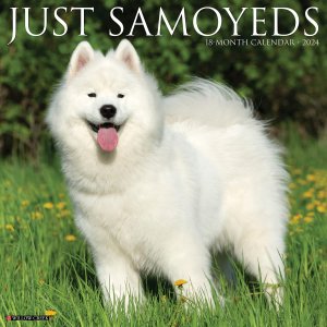 WillowCreek　サモエド カレンダー　JUST Samoyeds