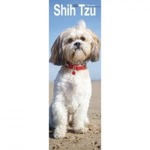 Avonside 饤󥫥 Shih Tzu Slimline