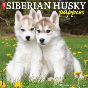 シベリアンハスキー スマイルドッグ アメリカ直輸入犬用品専門店 シベリアンハスキー スマイルドッグ アメリカ直輸入犬用品専門店