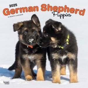 ジャーマンシェパード - スマイルドッグ☆アメリカ直輸入犬用品 ジャーマンシェパード - スマイルドッグ☆アメリカ直輸入犬用品