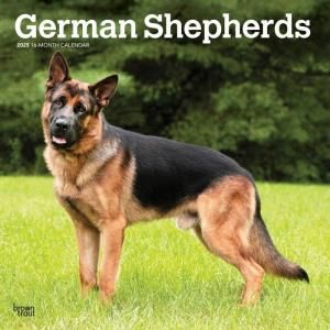 ジャーマンシェパード - スマイルドッグ☆アメリカ直輸入犬用品 ジャーマンシェパード - スマイルドッグ☆アメリカ直輸入犬用品