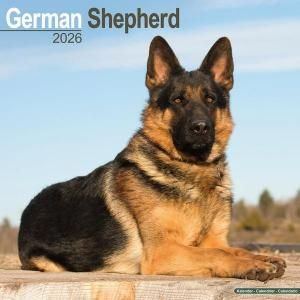 ジャーマンシェパード - スマイルドッグ☆アメリカ直輸入犬用品