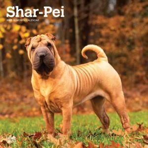 シャーペイ スマイルドッグ アメリカ直輸入犬用品専門店 シャーペイ スマイルドッグ アメリカ直輸入犬用品専門店