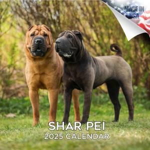 MEGA㡼ڥ  shar pei