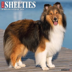 WillowCreekåȥɥץɥå JUST Shelties