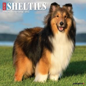 WillowCreekåȥɥץɥå JUST Shelties