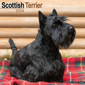 Avonside　スコティッシュテリア カレンダー　Scottish Trreier