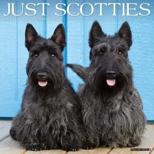 WillowCreekƥåƥꥢ JUST Scotties