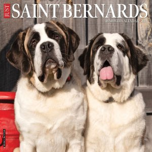 WillowCreekȥСʡ JUST Saint Bernards