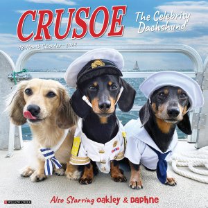WillowCreek ダックスフンド カレンダー【Crusoe the Celebrity Dachshund】