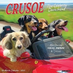 WillowCreek åե Crusoe the Celebrity Dachshund