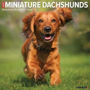 WillowCreekߥ˥奢åե ---JUST Miniature Dachshunds