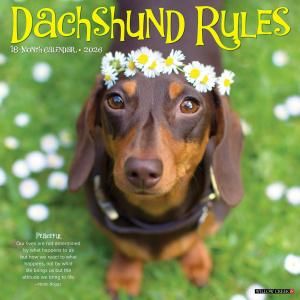 WillowCreekåեɥ롼 Dachshund Rules
